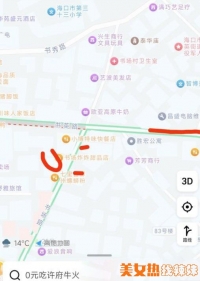 ������Ӣ·ZJ