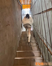 ����sao��ϵ��3