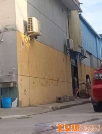 ������sao��