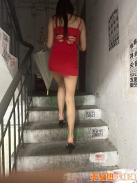 ����ZJС���