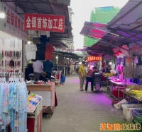 ����sao��