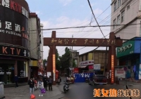 �ٶ�������