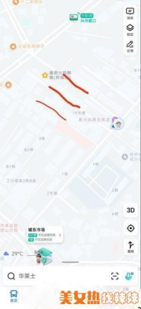 ��������ZJ